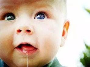 口水娃吃瓜视频,揭秘娱乐圈幕后故事