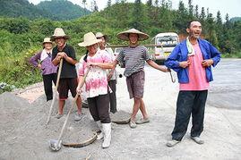 桑植县吃瓜事件始末视频,一场网络热议的真相追踪