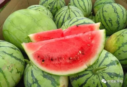 今日吃瓜每日吃瓜精品视频,揭秘热门视频背后的精彩故事