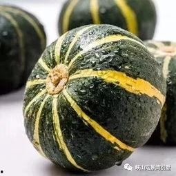 挂机吃瓜视频大全,视频大全带你轻松追剧