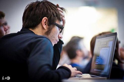 it男吃瓜视频,IT男视角下的娱乐圈吃瓜大揭秘