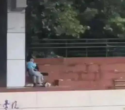 济南校园吃瓜事件视频最新,视频揭露惊人内幕，真相令人震惊！