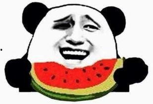 吃瓜群众老姐视频大全,揭秘视频大全中的趣味人生