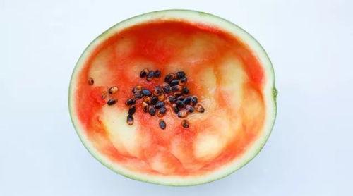 用勺子吃麒麟瓜视频教学,开启趣味学习之旅