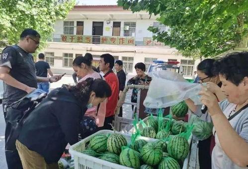 封丘县吃瓜大事件视频,一场全民热议的乡村奇观