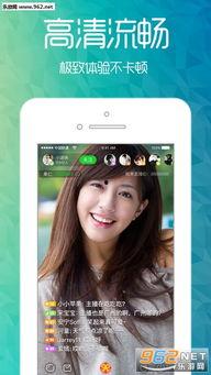 包头吃瓜事件视频播放下载,视频播放下载背后的网络热议