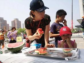 包粽子吃瓜视频,包粽子赏瓜乐翻天