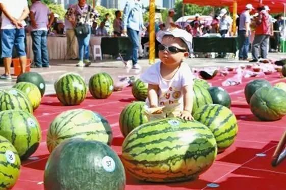 大陆吃瓜台湾看瓜视频网站