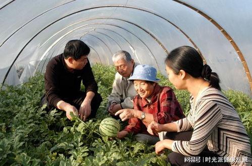 延安二中吃瓜视频,揭秘校园生活趣味瞬间