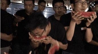 山东群众吃瓜视频大全集,趣味横生的民间生活剪影